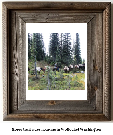 horse trail rides near me in Wollochet, Washington